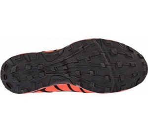 inov-8-zool 212_20181022180447